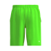 Шорты Bidi Badu Crew 9" Neon Green